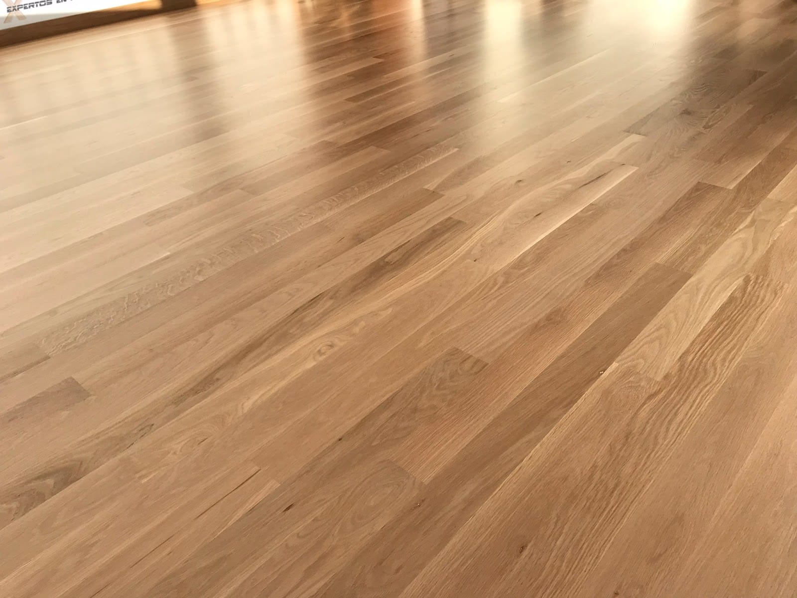 Cómo quitar arañazos del parquet 【suelo laminado - tarima flotante